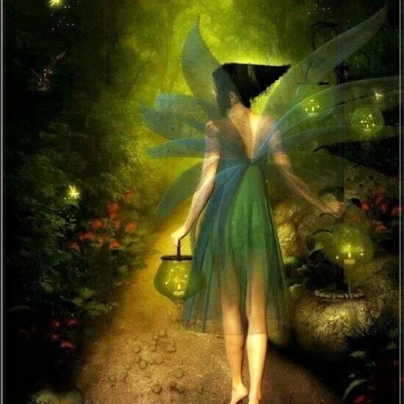 Meet your Posher, Aminta - Picture 4 of 7